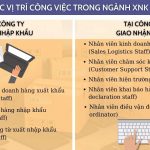 Vị trí Công việc trong ngành Xuất nhập khẩu - Logistics