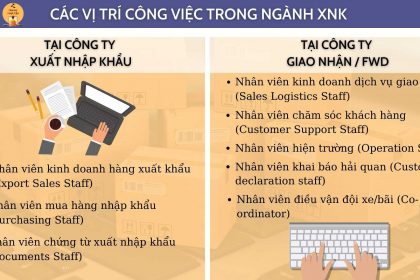 Vị trí Công việc trong ngành Xuất nhập khẩu - Logistics