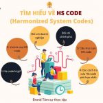 HS CODE