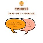 DEM-DET-STORAGE