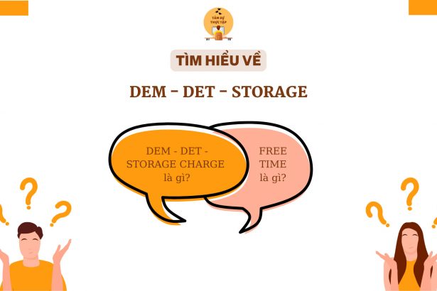 DEM-DET-STORAGE