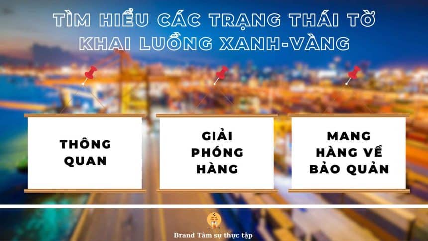 Trạng thái tờ khai