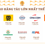 Top 10 hãng tàu lớn nhất trên thế giới